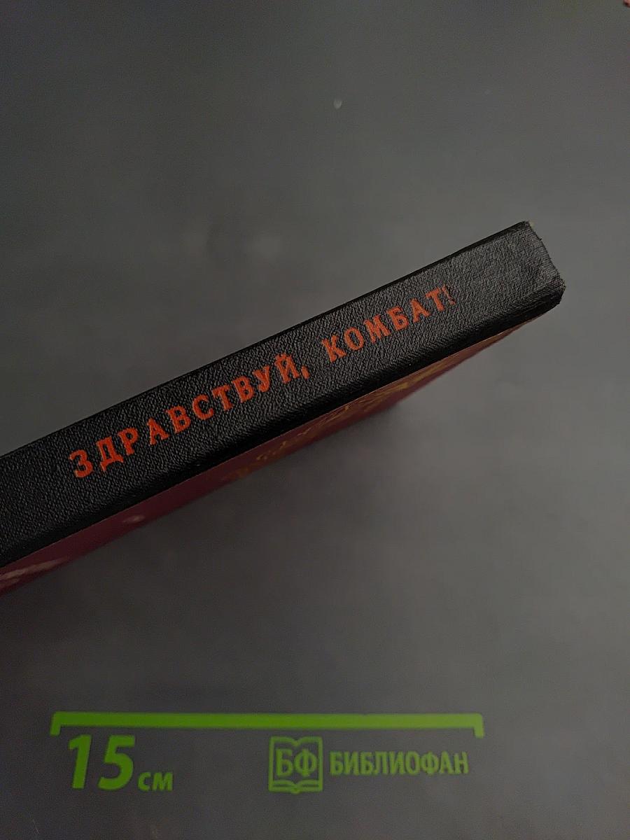 Здравствуй, комбат!