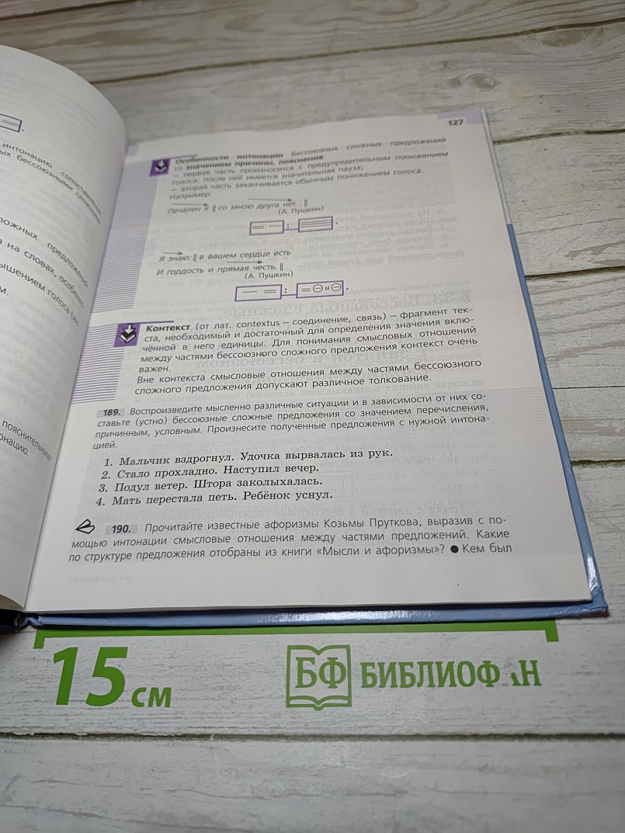 Русский язык 9 класс