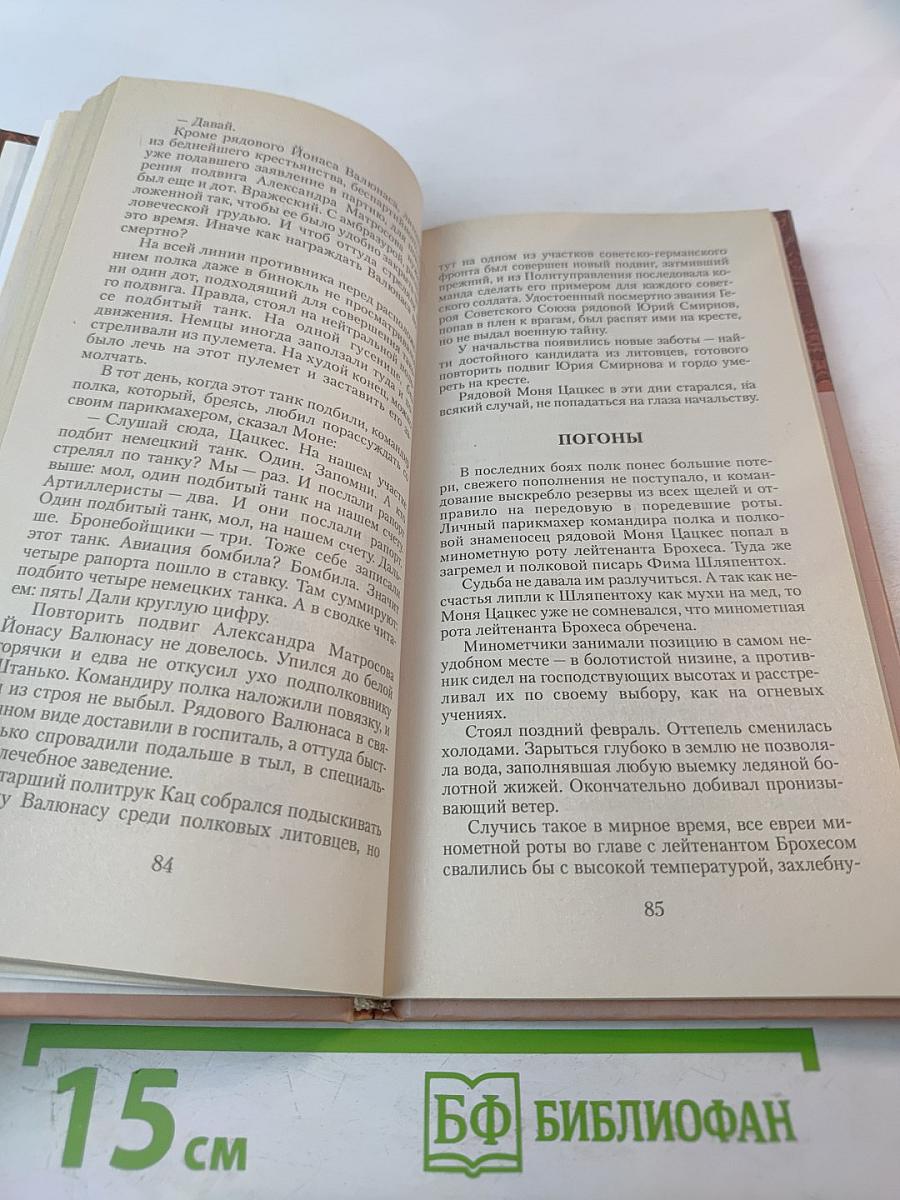 Моня Цацкес – Знаменосец