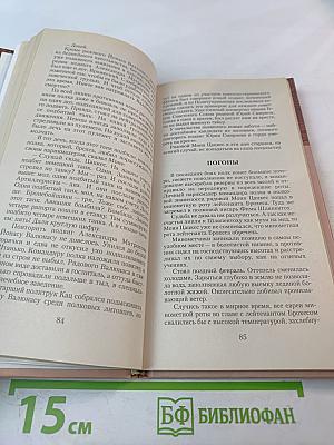 Моня Цацкес – Знаменосец