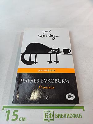 О кошках