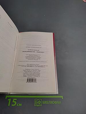 Ричард Длинные Руки - ландесфюрст