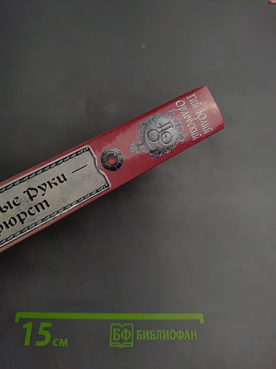 Ричард Длинные Руки - ландесфюрст