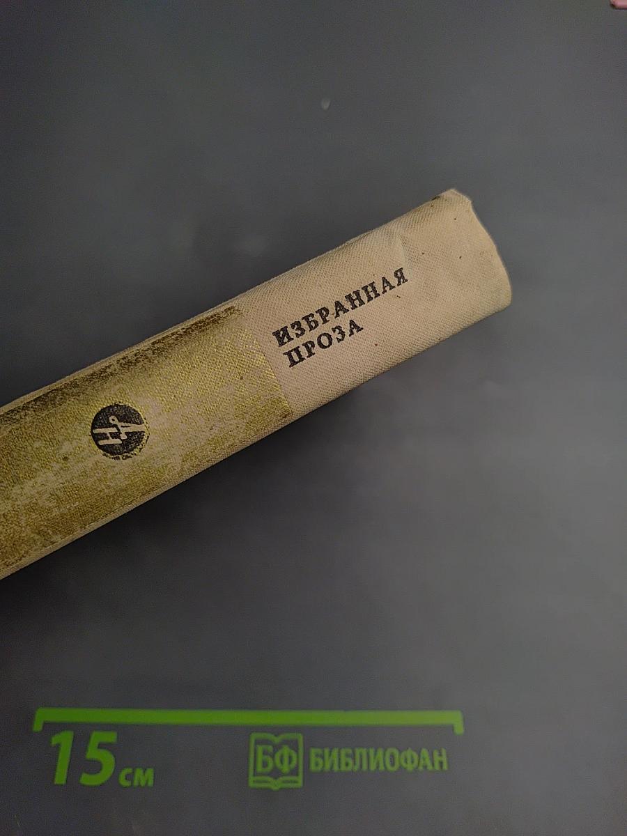 Избранная проза