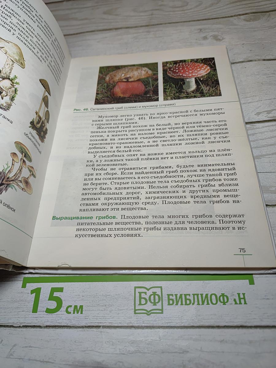 Биология. Бактерии, грибы, растения. 5 класс