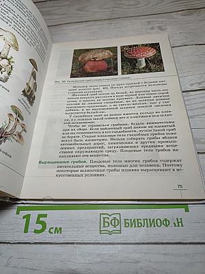 Биология. Бактерии, грибы, растения. 5 класс