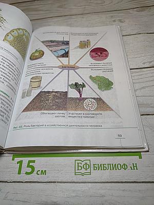 Биология. Бактерии, грибы, растения. 5 класс
