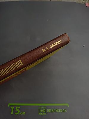 Основы статистической радиотехники, теории информации и кодирования