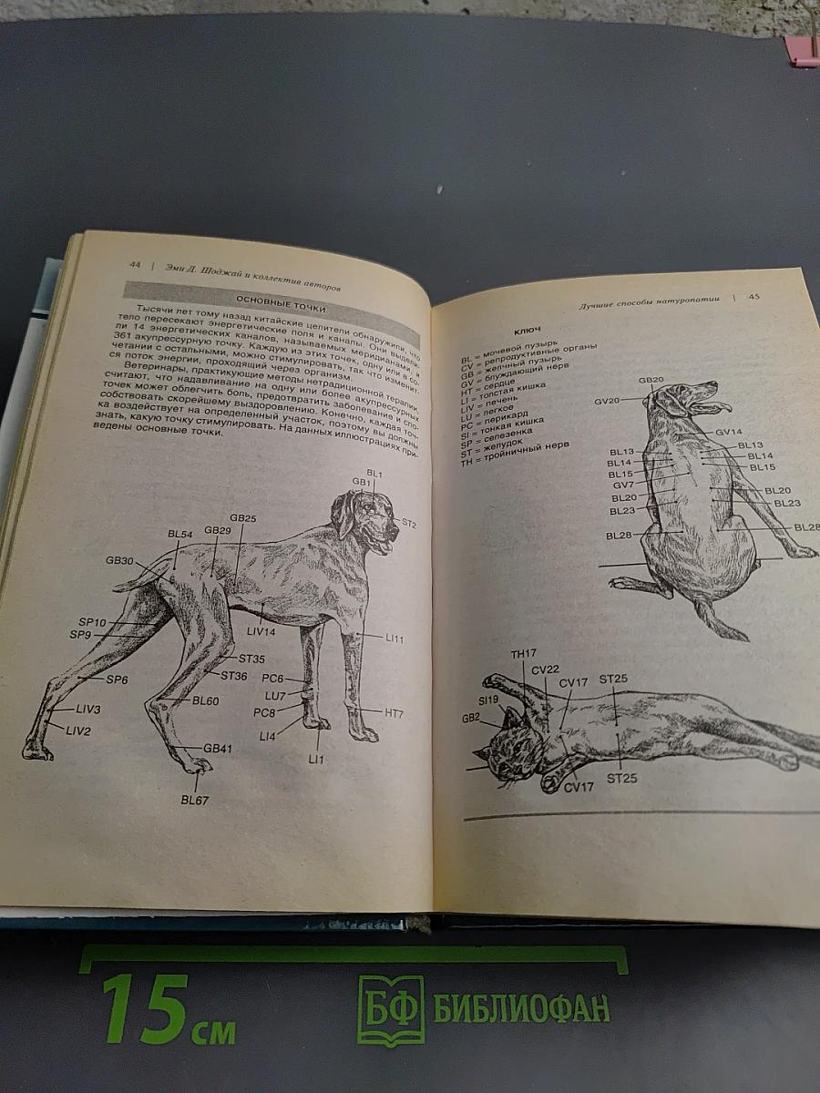Ветеринарный справочник. Нетрадиционных методов лечения собак и кошек. Более 1000 домашних способов исцеления ваших питомцев