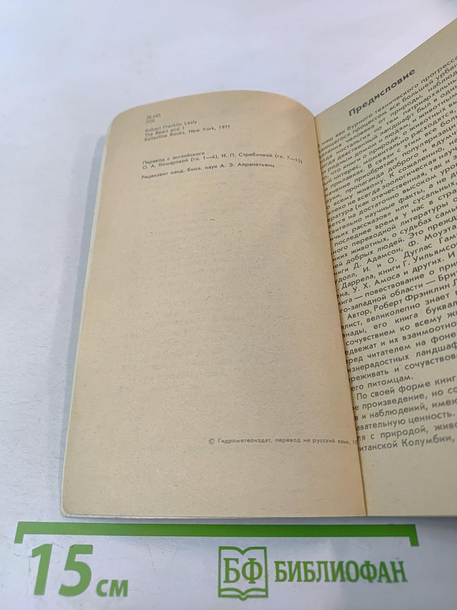 Медведи и Я