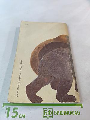 Медведи и Я