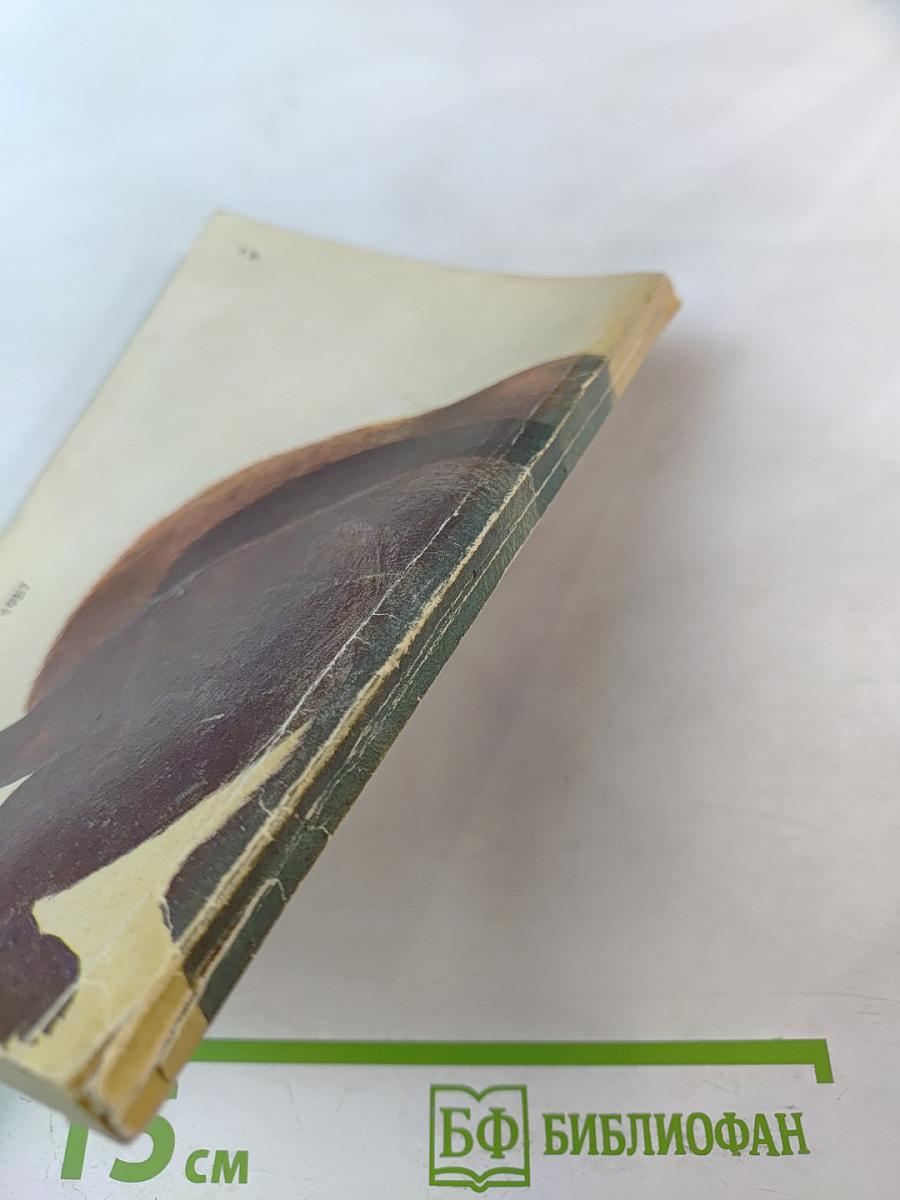 Медведи и Я