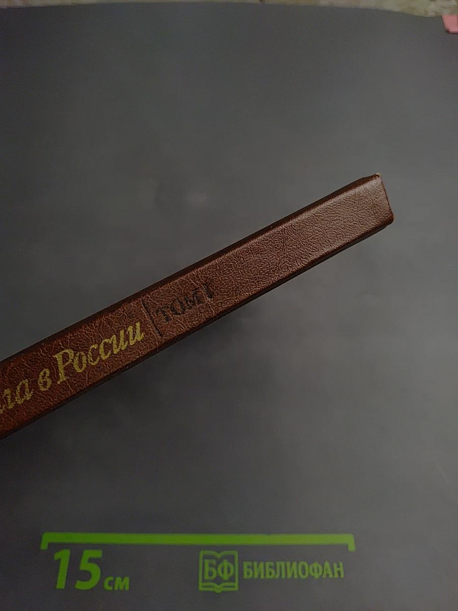 Книга в России 1861-1881. Том 1