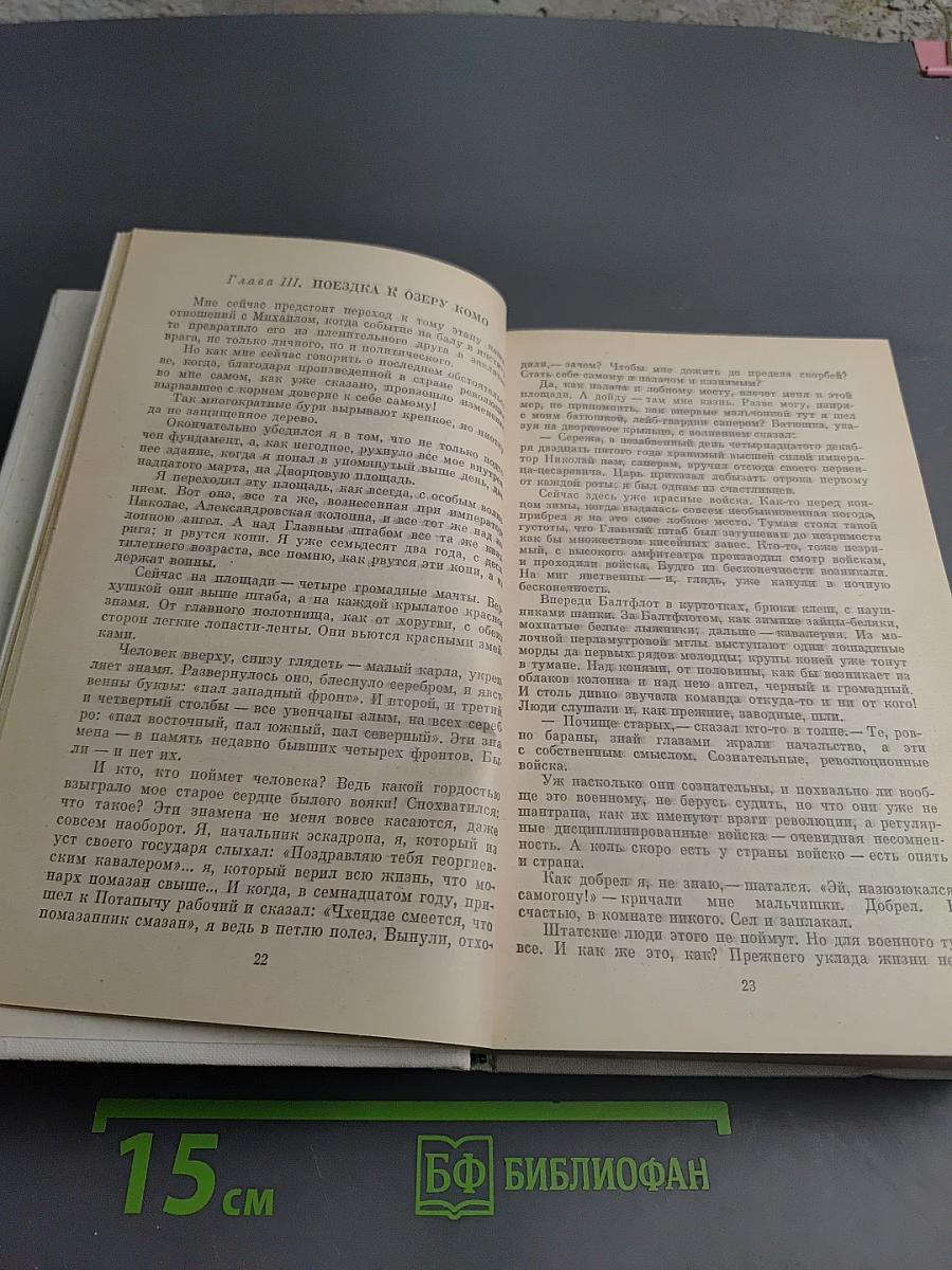 Ольга Форш. Одеты камнем. Радищев. Михайловский замок