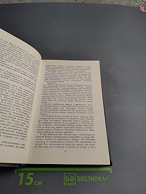 Генерал с орденом Льва