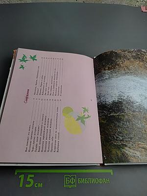 Идеальные формы без диет. Смотрю и стройнею 2