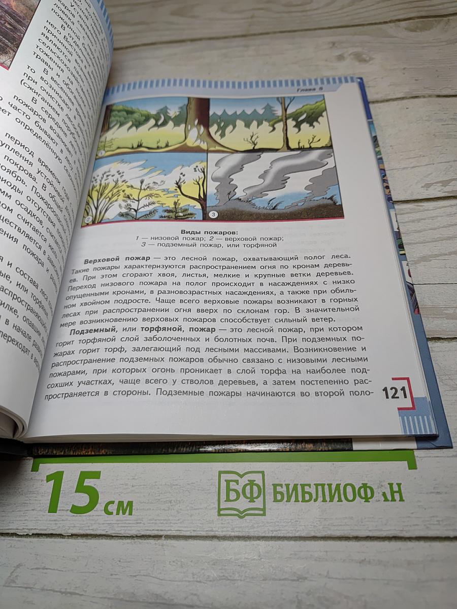 Основы безопасности жизнедеятельности 7 класс