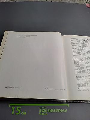 Край большой нефти