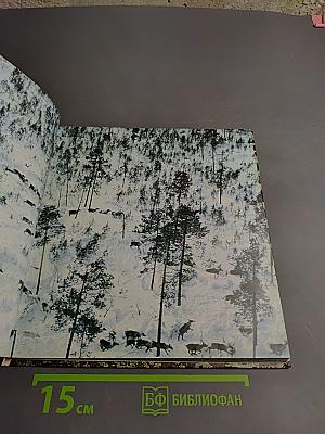 Край большой нефти