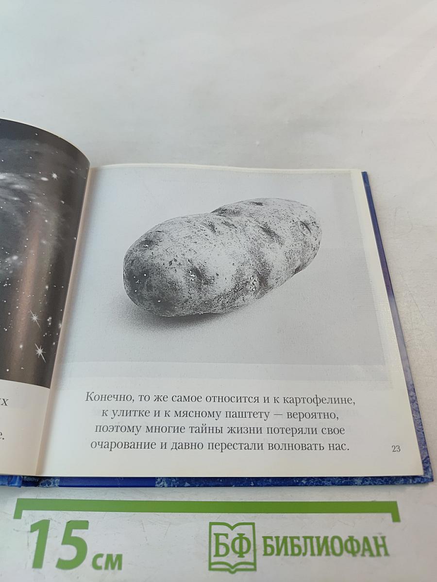 Смысл жизни