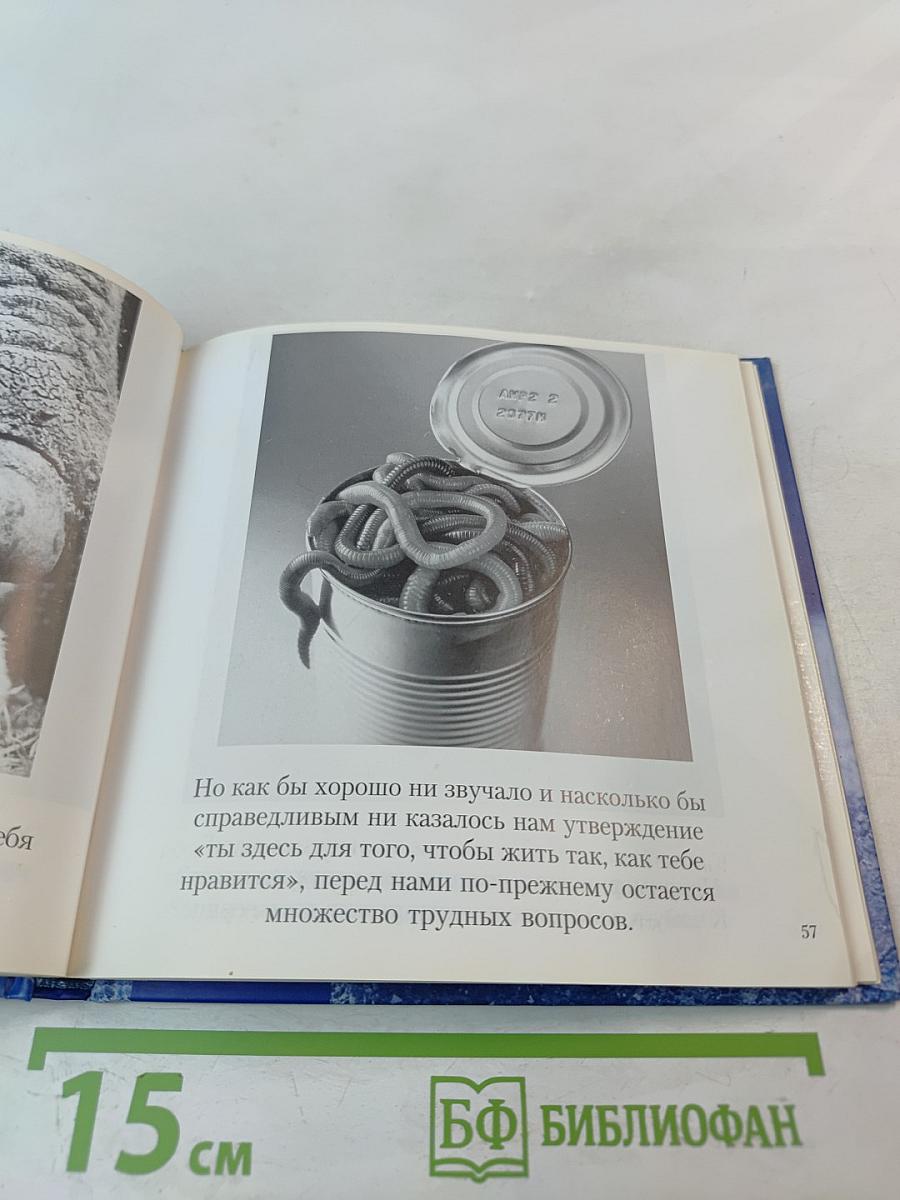 Смысл жизни