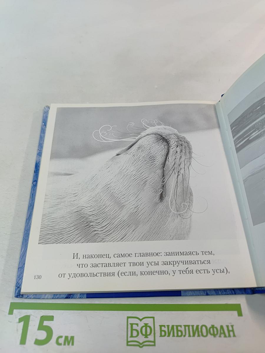 Смысл жизни