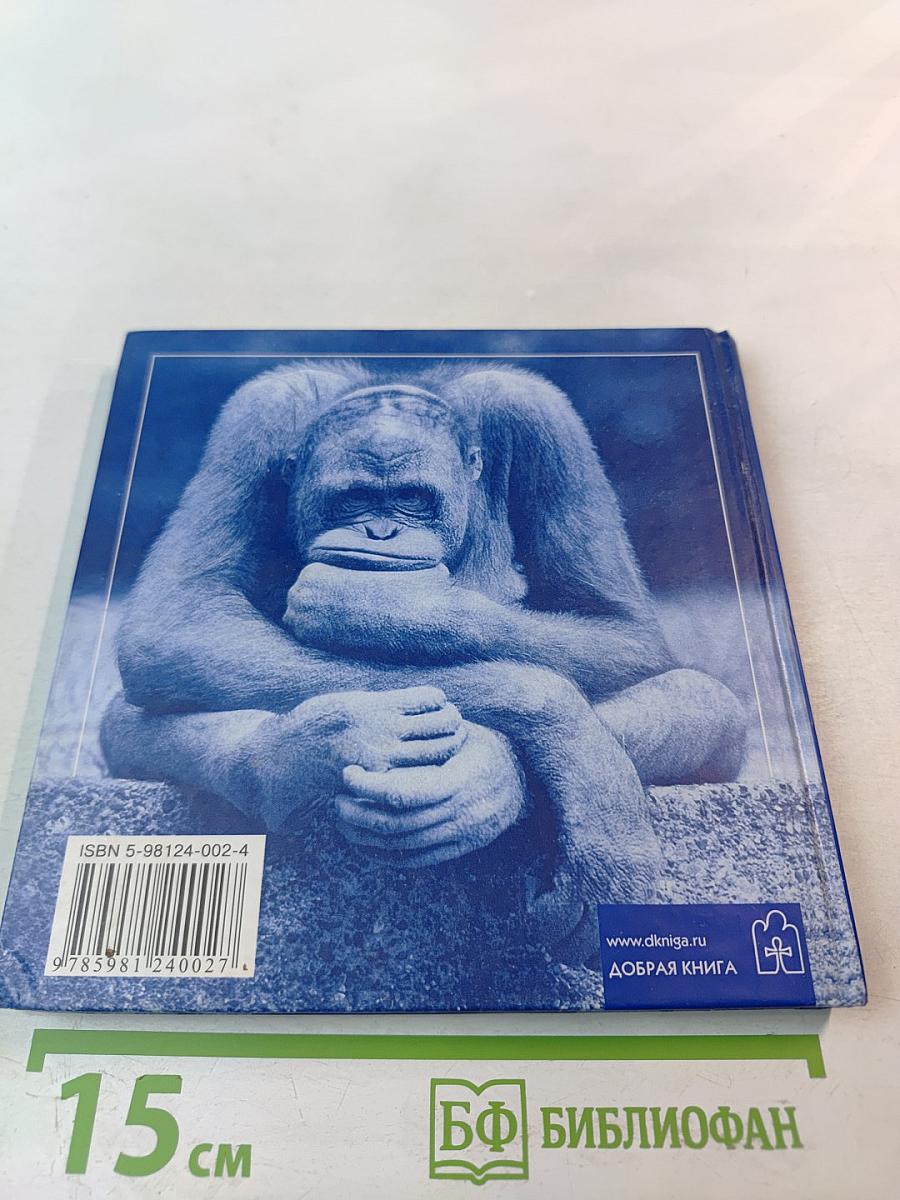 Смысл жизни