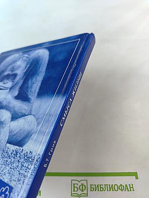 Смысл жизни