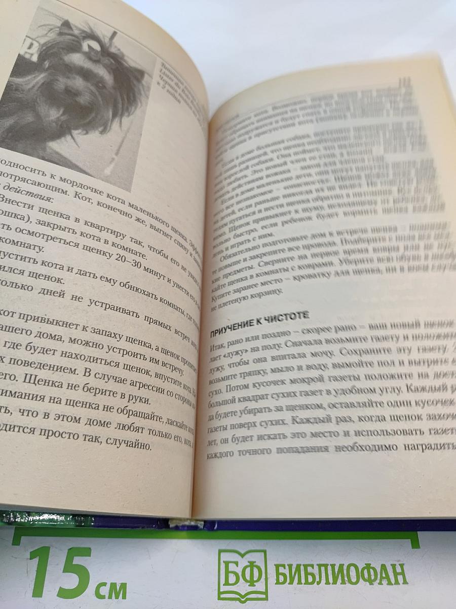 Йоркширский терьер
