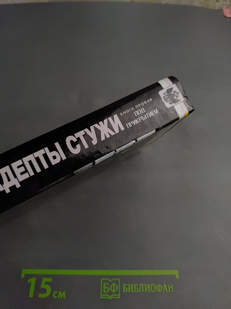 Адепты Стужи. Книга первая. Под прикрытием