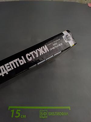 Адепты Стужи. Книга первая. Под прикрытием