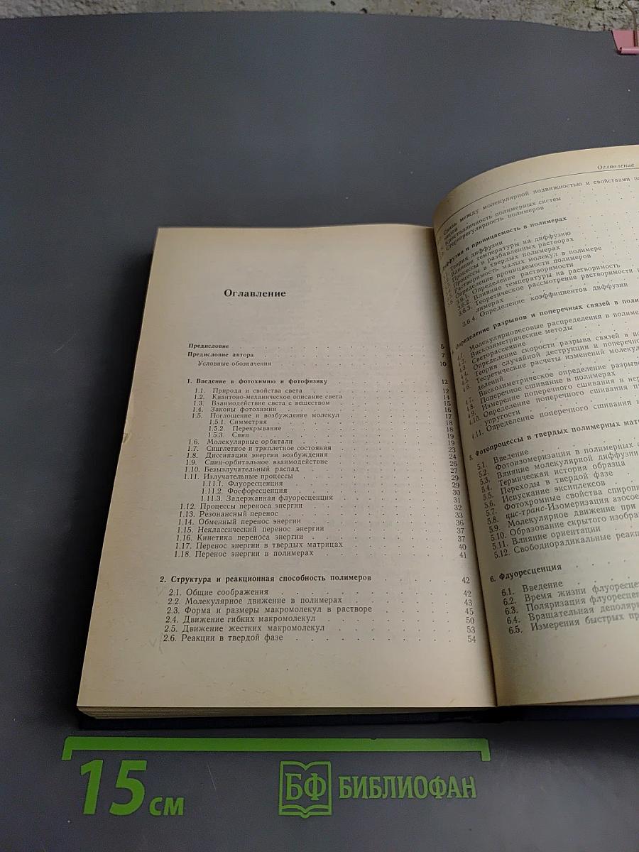 Фотофизика и фотохимия полимеров. Введение в изучение фотопроцессов в макромолекулах