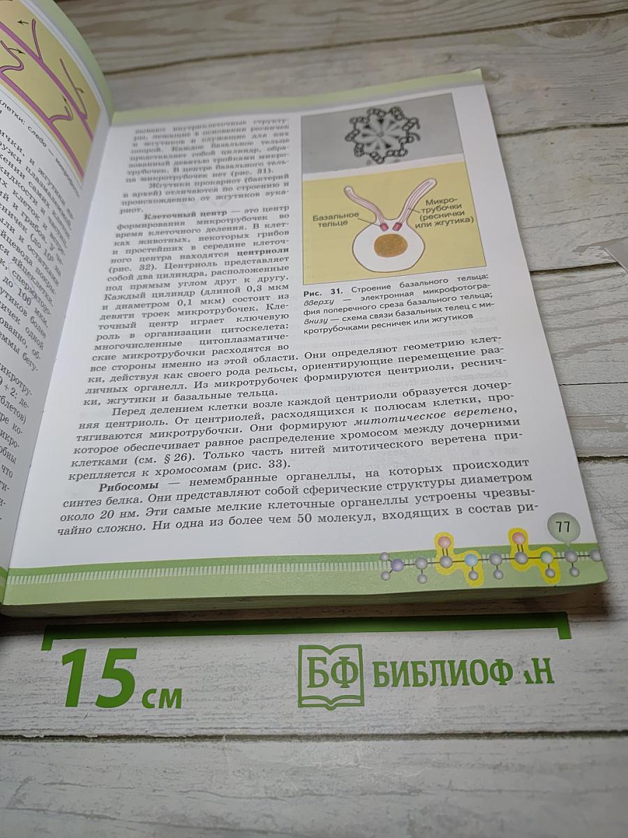 Биология 10 класс