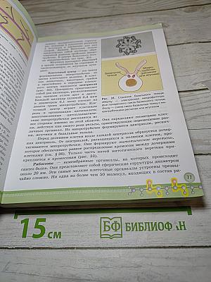 Биология 10 класс