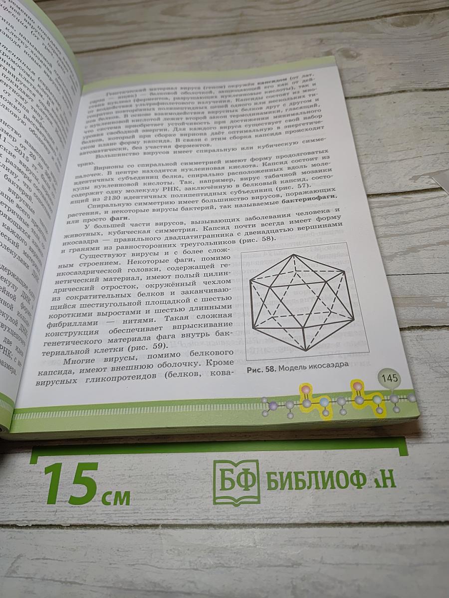Биология 10 класс