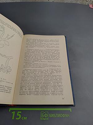 Семейство Peronosporaceae Средней Азии и Южного Казахстана (Определитель)