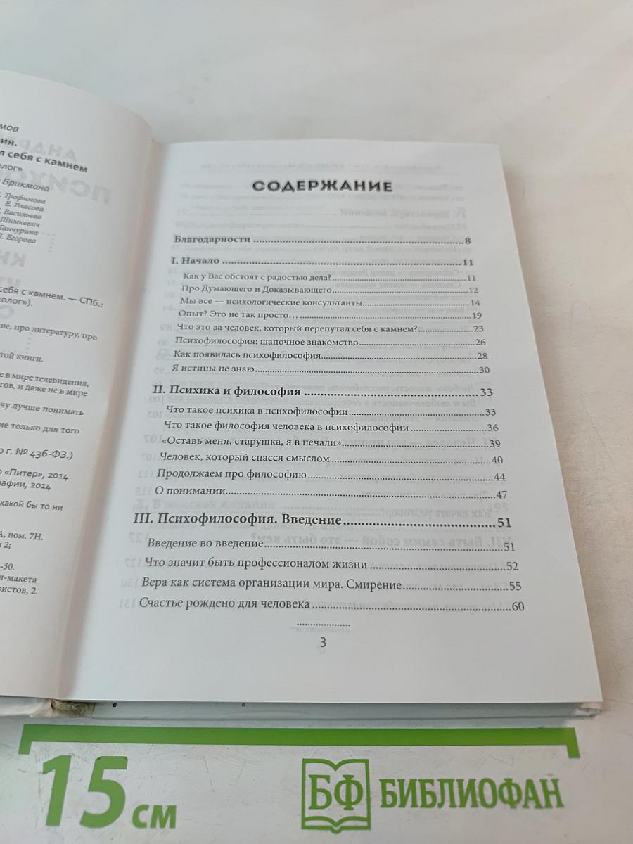 Психофилософия. Книга для тех, кто перепутал себя с камнем