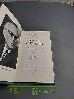 Ранние метели. Повесть о Тургеневе