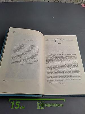 Ранние метели. Повесть о Тургеневе