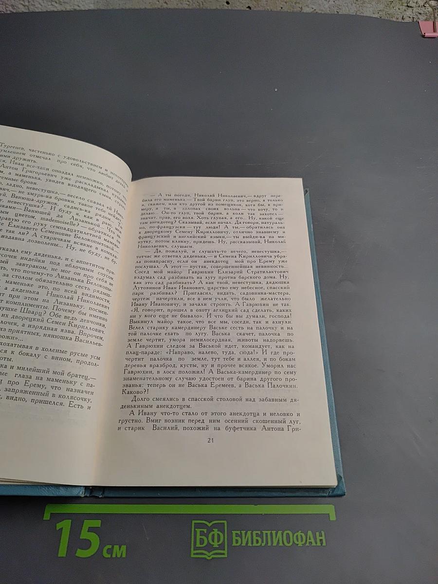 Ранние метели. Повесть о Тургеневе