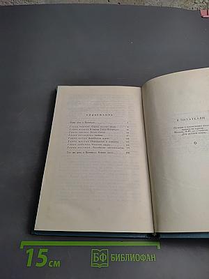 Ранние метели. Повесть о Тургеневе