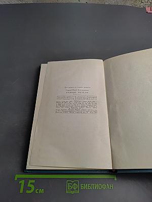 Ранние метели. Повесть о Тургеневе