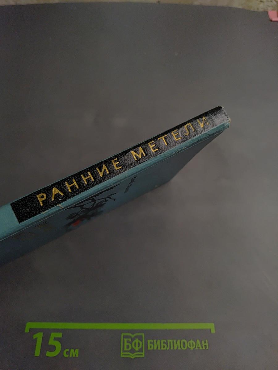 Ранние метели. Повесть о Тургеневе