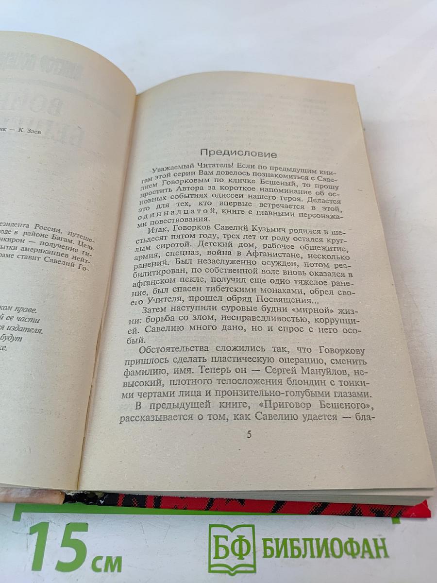 Война Бешеного