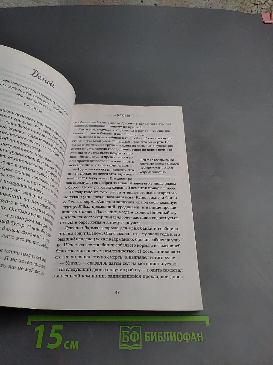 Куриный бульон для души: 101 история о животных