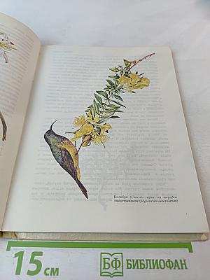 Африка глазами Джой Адамсон