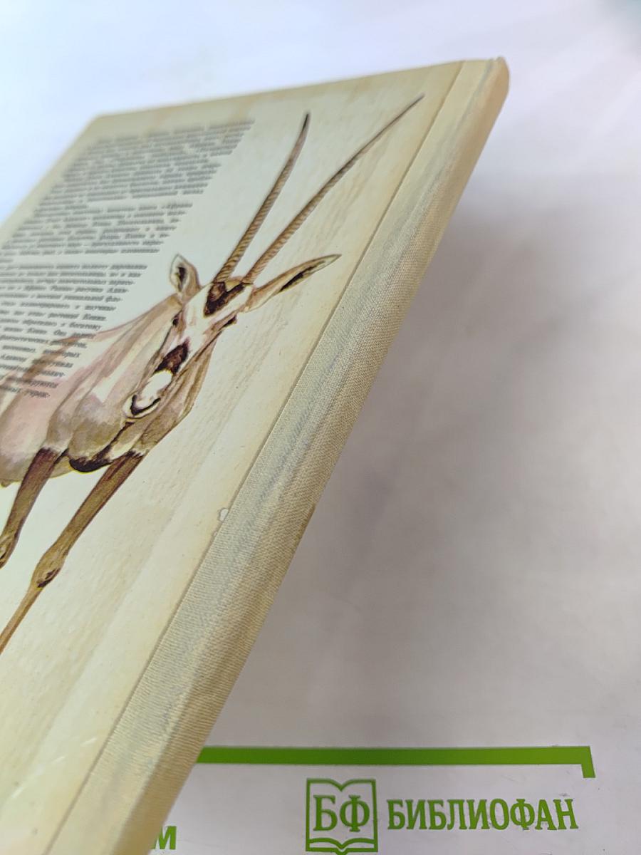 Африка глазами Джой Адамсон