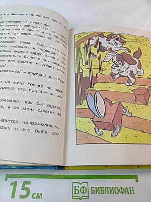 Дружок. Книга для внеклассного чтения для 1 класса