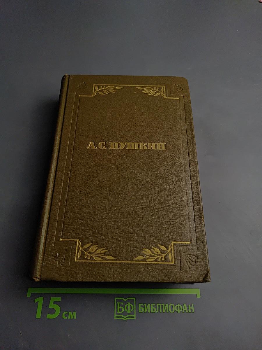 Полное собрание сочинений. Том пятый. Критика и публицистика. Автобиографическое