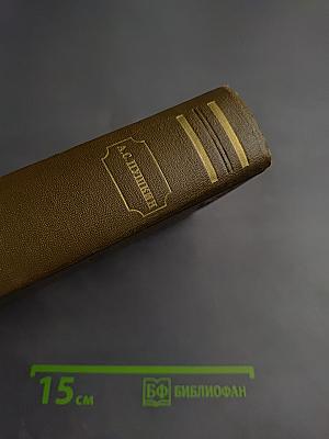 Полное собрание сочинений. Том пятый. Критика и публицистика. Автобиографическое